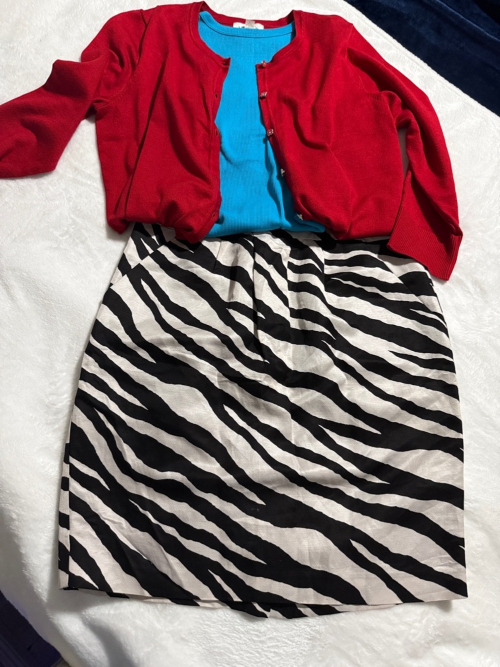 Zebra Print A-Line Skirt - Black & off white